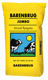 Jumbo Annual Ryegrass
