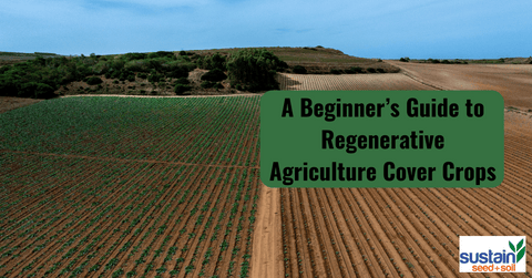 A Beginner’s Guide to Regenerative Agriculture Cover Crops