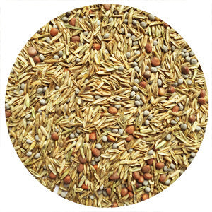 Seed Mixes