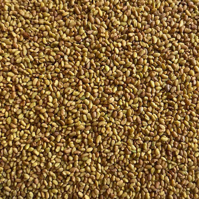 Cover Crops