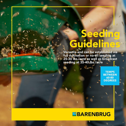 Barenbrug Beefmaster Pro