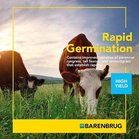 Barenbrug Stockmaster Pro