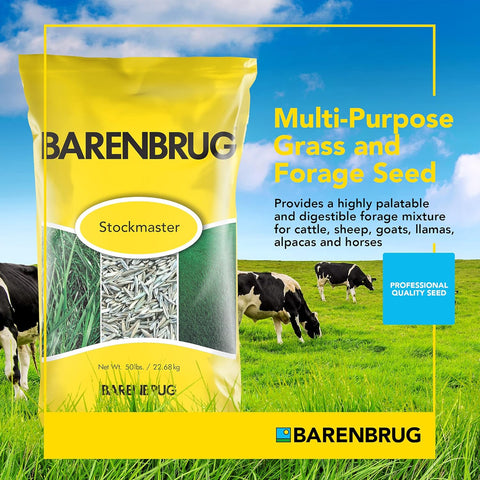 Barenbrug Stockmaster Pro