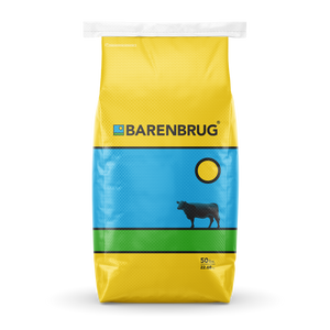 Barsica Rapeseed by Barenbrug