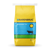 Barenbrug Dairymaster Pro