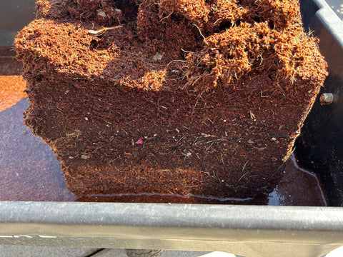 Coco Lanka Organic Coco Coir 4.5kg Block