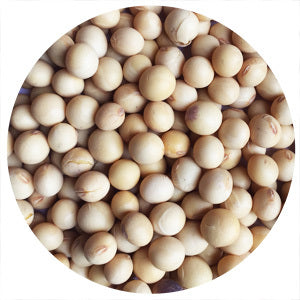 Legumes