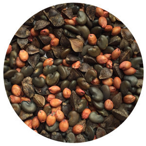 PeakBlend Brazos