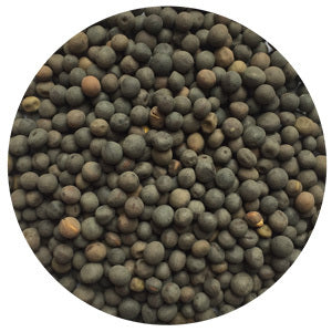 Hairy Vetch (Raw)