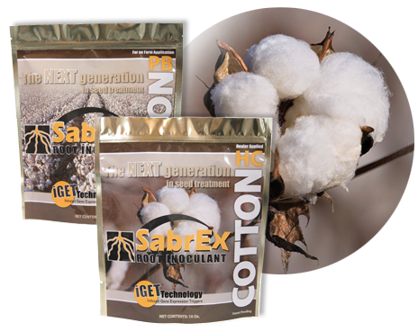SabrEx PB for Cotton Inoculant (12 oz)