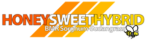 Sorghum Sudangrass, BMR Honey Sweet Hybrid